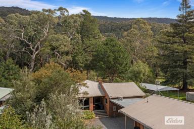 House Sold - VIC - Halls Gap - 3381 - 'Kangaroo House' Your Holiday Investment Awaits  (Image 2)