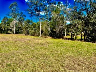 Residential Block Sold - QLD - Traveston - 4570 - Tranquil Paradise in Traveston: Your Opportunity Awaits!  (Image 2)