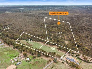 Residential Block For Sale - VIC - Mandurang South - 3551 - Potential to Develop - 25 Acres Across Three Titles  (Image 2)