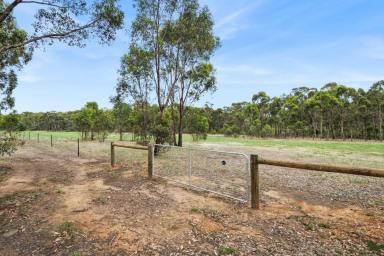 Residential Block For Sale - VIC - Mandurang South - 3551 - Magnificent Mandurang Lifestyle Opportunity - 25 acres across three titles  (Image 2)