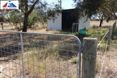 Residential Block Sold - WA - Wagin - 6315 - Ready to build your dream country home? This block of land is for you. (1.5 acres)  (Image 2)
