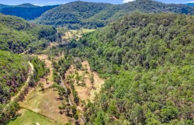 Lifestyle Sold - NSW - Laguna - 2325 - Scenic Country Weekender Acreage  (Image 2)