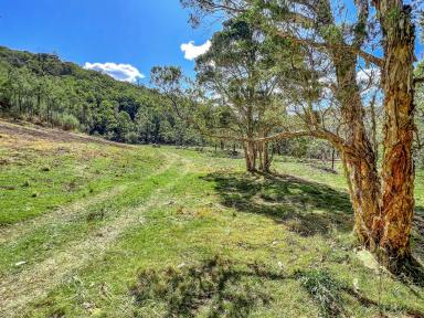 Lifestyle For Sale - NSW - Laguna - 2325 - Scenic Country Weekender Acreage  (Image 2)