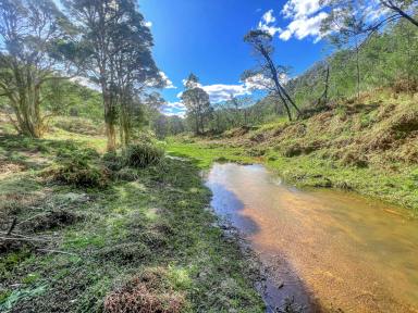 Lifestyle Sold - NSW - Laguna - 2325 - Scenic Country Weekender Acreage  (Image 2)