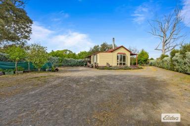 House Sold - VIC - Great Western - 3374 - Fantastic getaway or permanent home  (Image 2)