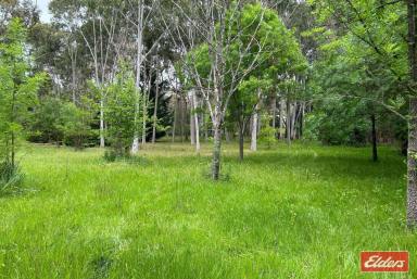 Residential Block For Sale - SA - Williamstown - 5351 - STUNNING 1 HECTARE (2.47 ACRE) ALLOTMENT WITH NATURAL WATER COURSE  (Image 2)