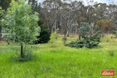 Residential Block For Sale - SA - Williamstown - 5351 - STUNNING 1 HECTARE (2.47 ACRE) ALLOTMENT WITH NATURAL WATER COURSE  (Image 2)