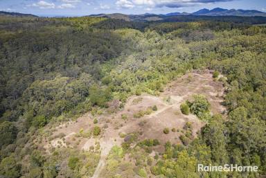House For Sale - NSW - Ulong - 2450 - 93 HECTARES ON 2 TITLES PACKED WITH POTENTIAL  (Image 2)