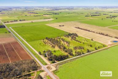 Mixed Farming Sold - VIC - Tennyson - 3572 - Cropping and Irrigation 73.56 Acres / 29.77 Hectares  (Image 2)