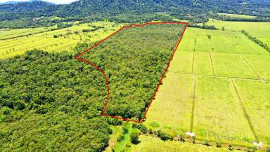 Residential Block For Sale - QLD - East Feluga - 4854 - Large Rural Block $250K  (Image 2)