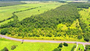 Residential Block For Sale - QLD - East Feluga - 4854 - Large Rural Block $250K  (Image 2)