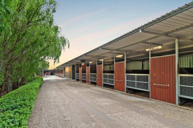 Acreage/Semi-rural Sold - VIC - Cranbourne - 3977 - Carisbrook Lodge - Top-Tier Facility For Champion Thoroughbreds  (Image 2)