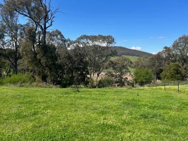Lifestyle For Sale - VIC - Eskdale - 3701 - "Gods own Country"  (Image 2)