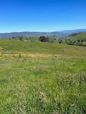 Lifestyle For Sale - VIC - Jarvis Creek - 3700 - "If you have a plan then we have the block"  (Image 2)