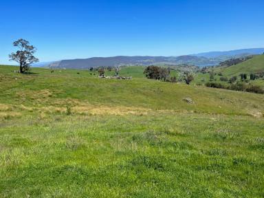 Lifestyle For Sale - VIC - Jarvis Creek - 3700 - "If you have a plan then we have the block"  (Image 2)