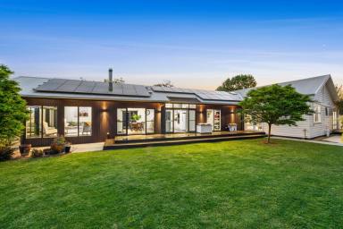 Lifestyle Sold - VIC - Drysdale - 3222 - Private Rural Oasis Offering the Best of the Bellarine  (Image 2)