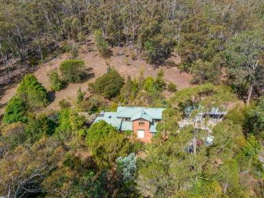 Acreage/Semi-rural For Sale - NSW - Bega - 2550 - CHARACTER-FILLED BUSH RETREAT WITH 4-BEDROOM HOME  (Image 2)