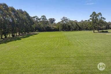 Residential Block Sold - VIC - Langwarrin South - 3911 - A World of Possibilities: 2.5 Acres With 2 X Approved Building Envelopes  (Image 2)