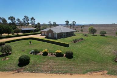 House Sold - NSW - Merriwa - 2329 - Rural Lifestyle with Abundant Water!  (Image 2)