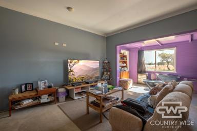 House Sold - NSW - Dundee - 2370 - Afforable Home on an Acre  (Image 2)