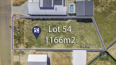 Residential Block Sold - NSW - Moama - 2731 - Large 1,166m2 lot in prime location opposite the reserve  (Image 2)