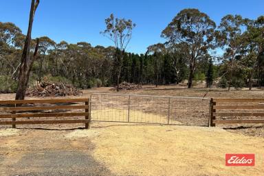 Residential Block For Sale - SA - Williamstown - 5351 - WANT SOME SPACE - 2.56 (APPROX) ACRE TITLED ALLOTMENT  (Image 2)