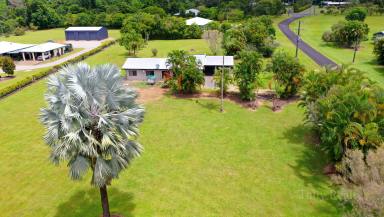 House For Sale - QLD - Bulgun - 4854 - Huge Family Home on Acreage $549K Negotiable  (Image 2)