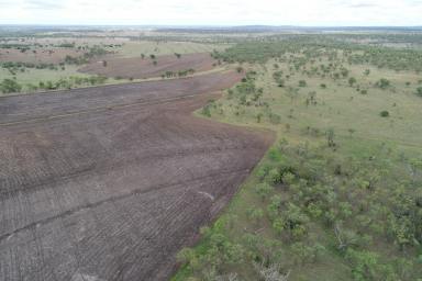 Mixed Farming For Sale - QLD - Bell - 4408 - BELMONT AGGREGATION, BELL QLD 1527.59 Ha | 3,775 Acres in 18 freehold lots
Farming – Grazing, 3,714 SPU Piggery, Feedlot Potential  (Image 2)