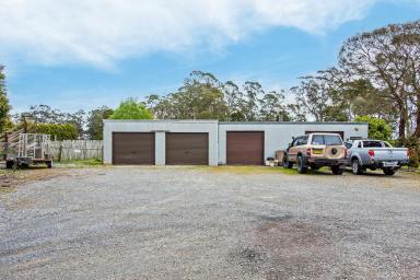 House Sold - TAS - Smithton - 7330 - Creek Boundary! Just Out of Town 
4 Bedroom Brick Home.  (Image 2)