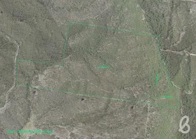 Other (Rural) Sold - NSW - Singleton - 2330 - SITE 1 | MITCHELLS FLAT LAND RELEASE | 219 ACRES  (Image 2)