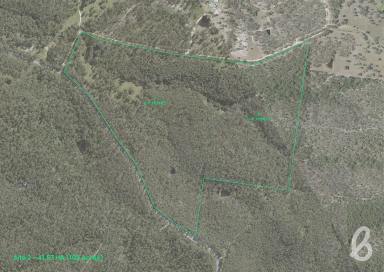 Other (Rural) Sold - NSW - Singleton - 2330 - SITE 2 | MITCHELLS FLAT LAND RELEASE | 102 ACRES  (Image 2)