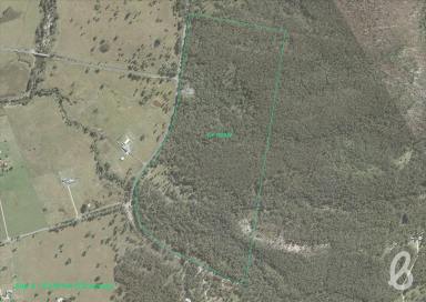 Other (Rural) Sold - NSW - Singleton - 2330 - SITE 4 | MITCHELLS FLAT LAND RELEASE | 131 ACRES  (Image 2)
