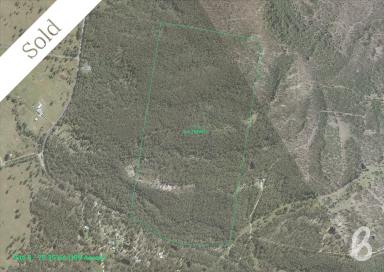 Other (Rural) Sold - NSW - Singleton - 2330 - SITE 5 | MITCHELLS FLAT LAND RELEASE | 186 ACRES  (Image 2)