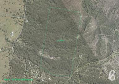 Other (Rural) Sold - NSW - Singleton - 2330 - SITE 5 | MITCHELLS FLAT LAND RELEASE | 186 ACRES  (Image 2)