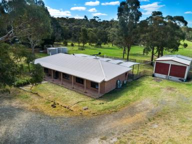 House Sold - VIC - Dereel - 3352 - 2.023HA (5.00 Acres) Family Lifestyle Offering in Picturesque Setting  (Image 2)