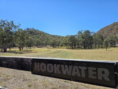 Other (Rural) For Sale - nsw - Giants Creek - 2328 - Cabin on 40 Acres  (Image 2)