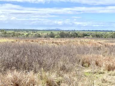 Other (Rural) Sold - QLD - Mount Kelly - 4807 - 49.42 Acre - Cropping Property at Mt Kelly with Irrigation  (Image 2)