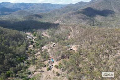 Residential Block For Sale - QLD - Widgee - 4570 - PRICE REDUCTION ON THIS ONE OF A KIND BUSH BLOCK!  (Image 2)