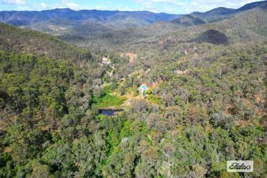 Residential Block For Sale - QLD - Widgee - 4570 - PRICE REDUCTION ON THIS ONE OF A KIND 303 acre PROPERTY!  (Image 2)