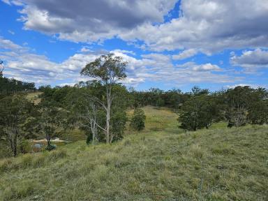Livestock Sold - QLD - Crows Nest - 4355 - 73 acres boasting 360 degree views.  (Image 2)