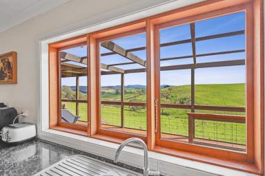 Mixed Farming For Sale - NSW - Orange - 2800 - Magnificent Family home, set on 100 picturesque acres!  (Image 2)