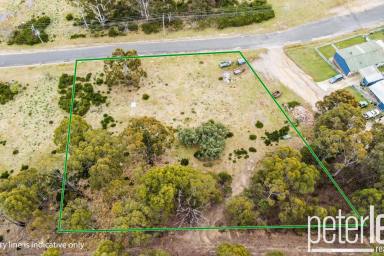 Residential Block For Sale - TAS - Rossarden - 7213 - Escape To The Easy Country Life  (Image 2)