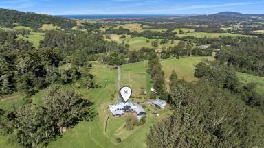 Acreage/Semi-rural For Sale - NSW - Berry - 2535 - Pines on Tullouch  (Image 2)