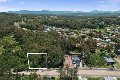 Residential Block For Sale - NSW - Catalina - 2536 - Elevated block with leafy outlook  (Image 2)