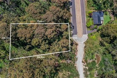 Residential Block For Sale - NSW - Catalina - 2536 - Elevated block with leafy outlook  (Image 2)