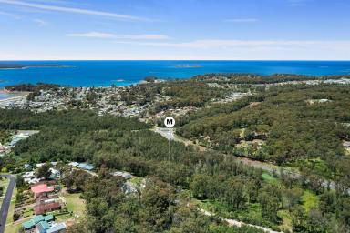 Residential Block For Sale - NSW - Catalina - 2536 - Elevated block with leafy outlook  (Image 2)