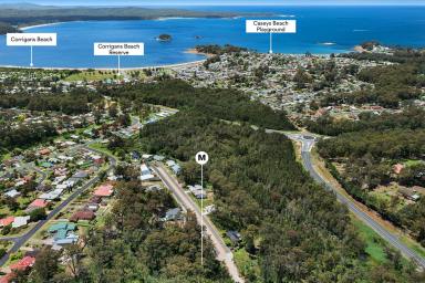 Residential Block For Sale - NSW - Catalina - 2536 - Elevated block with leafy outlook  (Image 2)