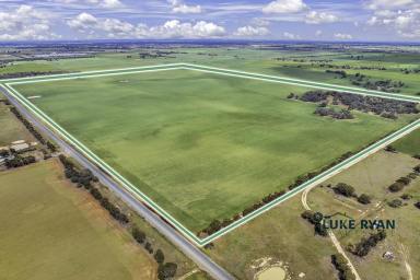 Cropping For Sale - NSW - Moama - 2731 - RURAL FARMLAND ON EDGE OF MOAMA (384 ACRES)  (Image 2)