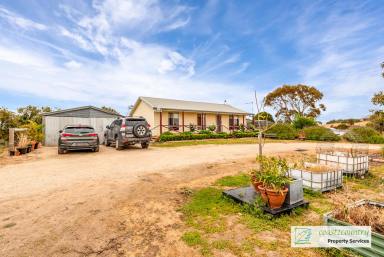 House Sold - SA - Meningie - 5264 - House, Huge Shed And Acres!!  (Image 2)