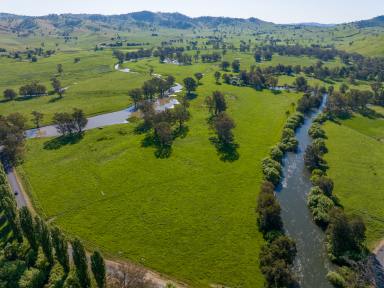 Other (Rural) For Sale - NSW - Brungle - 2722 - High Rainfall Grazing Scale with Exclusive Tumut River Flats  (Image 2)
